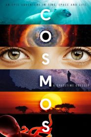 Cosmos: A Spacetime Odyssey