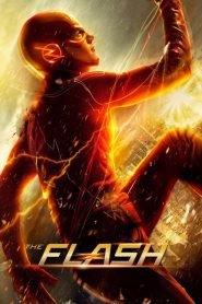 The Flash 2014