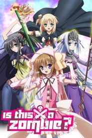 Kore wa Zombie Desu ka? (Anime)