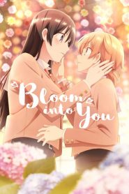 Yagate Kimi ni Naru (Anime)