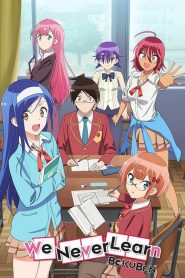 Bokutachi wa Benkyou ga Dekinai (Anime)