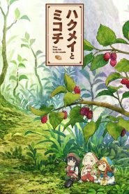 Hakumei to Mikochi (Anime)