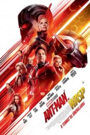 Karınca Adam ve Yaban Arısı – Ant-Man 2 (2018) Türkçe Dublaj izle