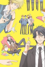 Hitorijime My Hero (Anime)