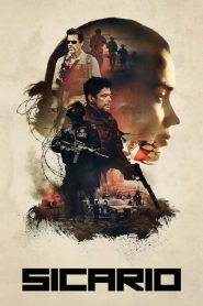 Sicario (2015) Türkçe Dublaj izle