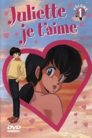 Maison Ikkoku (Anime)