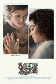 Her Şey (2017) Türkçe Dublaj izle