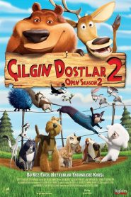 Çılgın Dostlar 2 (2008) Türkçe Dublaj izle