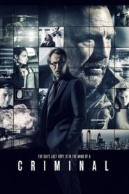 Suçlu (2016) Türkçe Dublaj izle