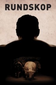 Taş Kafa (2011) Türkçe Dublaj izle