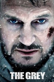 Gri Kurt (2012) Türkçe Dublaj izle