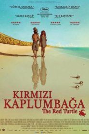 Kırmızı Kaplumbağa (2016) Türkçe Dublaj izle