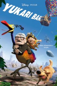 Yukarı Bak (2009) Türkçe Dublaj izle