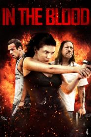 Kanlı Takip (2014) Türkçe Dublaj izle