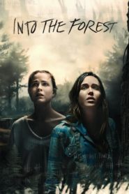 Ormana Doğru (2016) Türkçe Dublaj izle