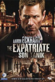 Son Tanık (2012) Türkçe Dublaj izle