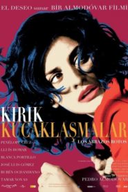 Kırık Kucaklaşmalar (2009) Türkçe Dublaj izle