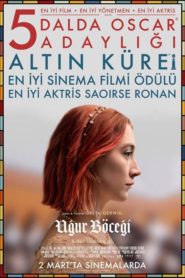 Uğur Böceği (2017) Türkçe Dublaj izle