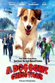 Muhteşem Köpek (2016) Türkçe Dublaj izle