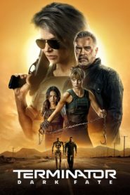 Terminator: Kara Kader (2019) izle