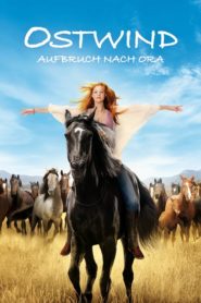 Kasırga 3 (2017) Türkçe Dublaj izle