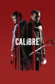 Kalibre (2018) Türkçe Dublaj izle