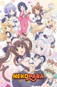 Nekopara (Anime)