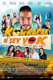 Korkacak Bi’şey Yok (2017) Yerli Film izle