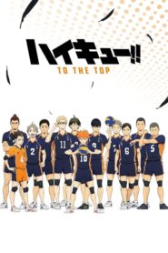 Haikyuu!! (Anime)