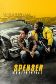 Spenser Kanunları (2020) Türkçe Dublaj izle