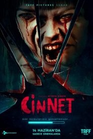 Cinnet (2019) Yerli Film izle