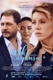 Aşk Uykusu (2017) Yerli Film izle