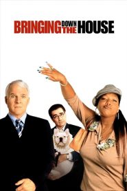 Başımın Belası (2003) Türkçe Dublaj izle