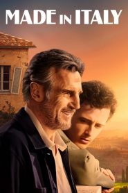 İtalyan Yazı (2020) Türkçe Dublaj izle