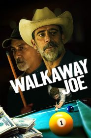 Kaçak Joe (2020) Türkçe Dublaj izle