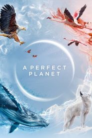 A Perfect Planet