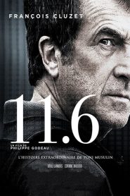 11.6 (2013) Türkçe Dublaj izle