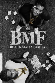 Black Mafia Family