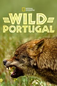 Wild Portugal (2020) izle