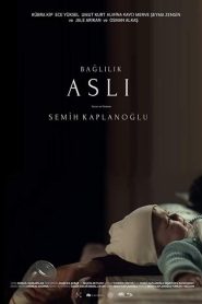 Bağlılık Aslı (2019) Yerli Film izle