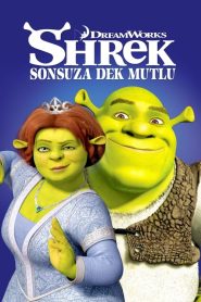 Şrek: Sonsuza Dek Mutlu (2010) Türkçe Dublaj izle