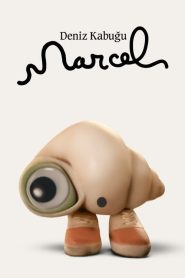 Deniz Kabuğu Marcel (2022) izle