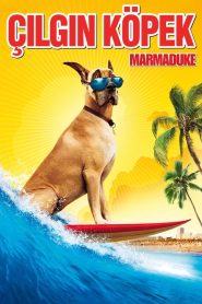 Çılgın Köpek (2010) Türkçe Dublaj izle