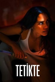 Tetikte (2024) Türkçe Dublaj izle