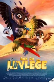 Bak Şu Leyleğe (2017) Türkçe Dublaj izle