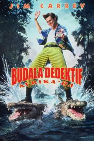 Budala Dedektif Afrika’da (1995) Türkçe Dublaj izle