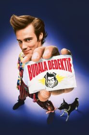 Budala Dedektif (1994) Türkçe Dublaj izle