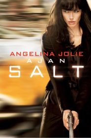 Ajan Salt (2010) Türkçe Dublaj izle