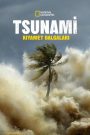 Tsunami: Race Against Time (Türkçe Dublaj)