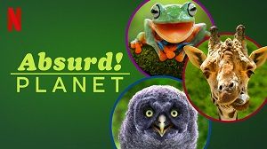 Absurd Planet 1. Sezon 9. Bölüm izle